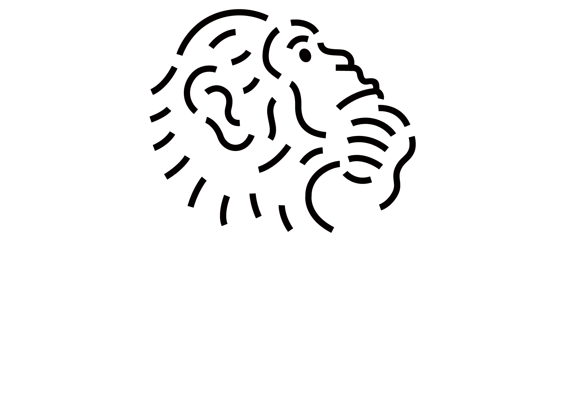 株式会社サルヂエ ロゴ